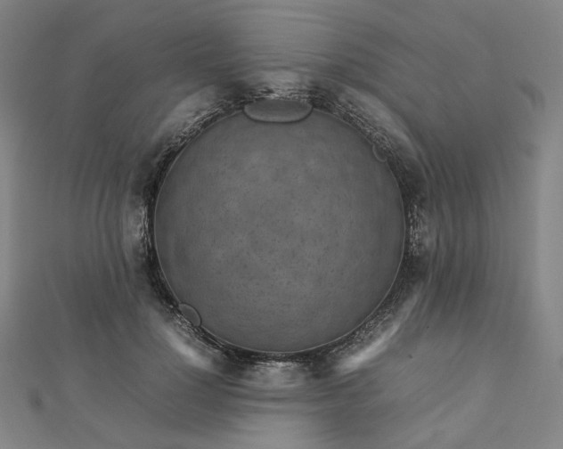 X0000112770748200909031610