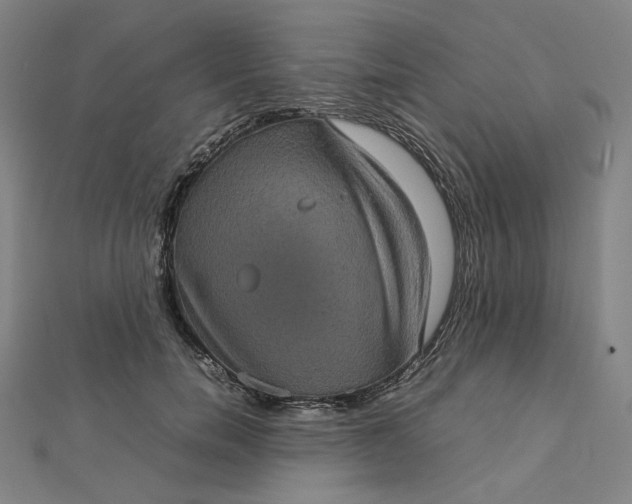 X0000112770750200909031610