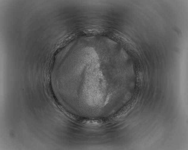 X0000112770751200909031610