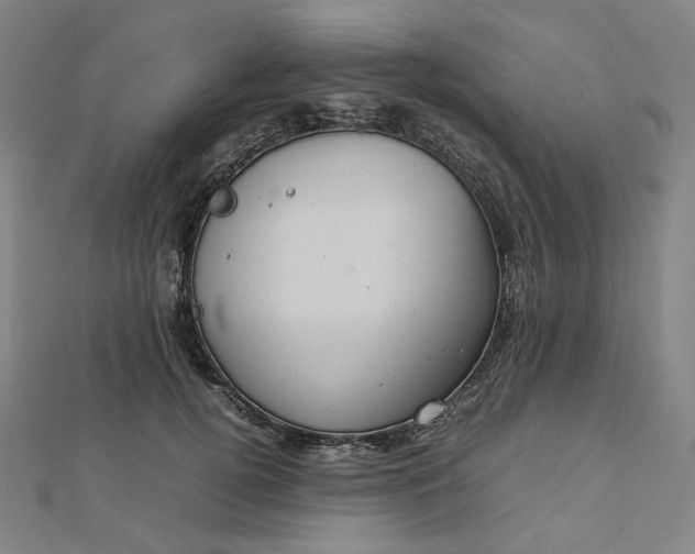 X0000112770752200909031610