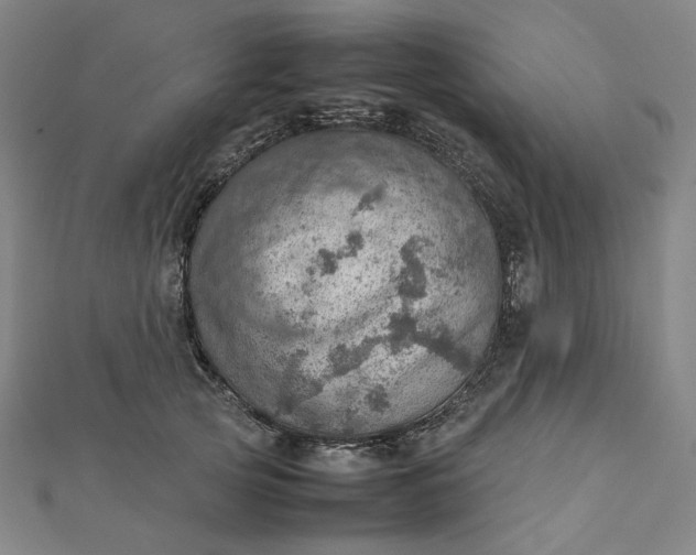 X0000112770753200909031610