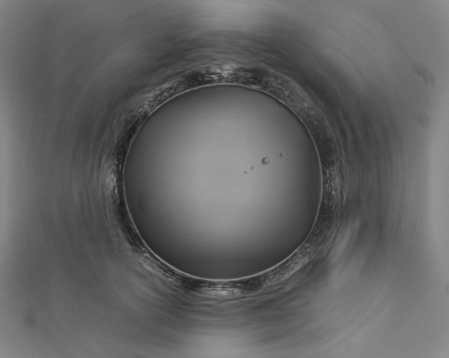 X0000112770754200909031610