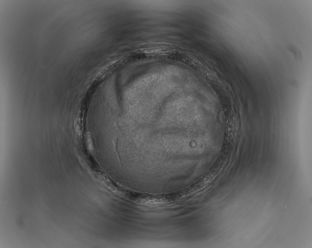 X0000112770755200909031610