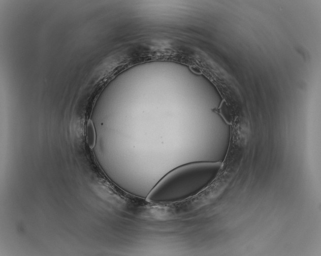 X0000112770756200909031611