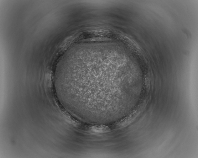 X0000112770757200909031611