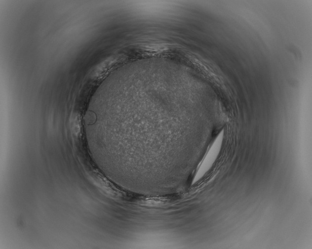 X0000112770758200909031611