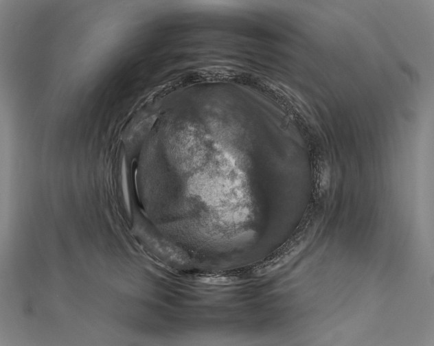 X0000112770759200909031611