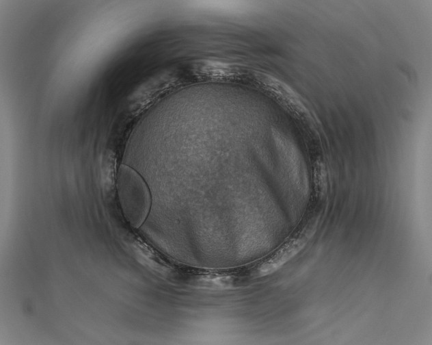 X0000112770760200909031611