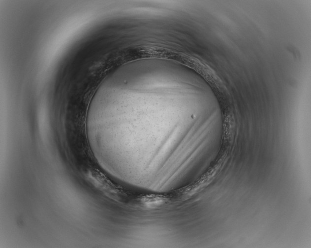 X0000112770762200909031611