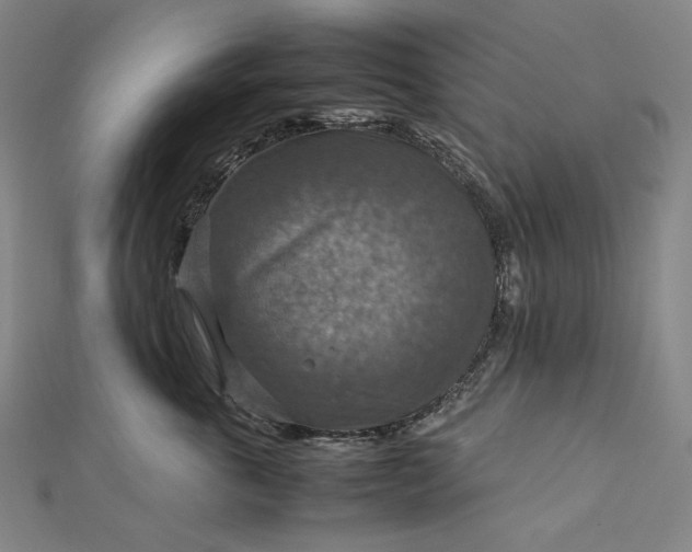 X0000112770763200909031611