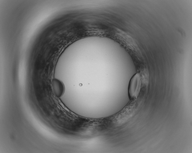 X0000112770764200909031611