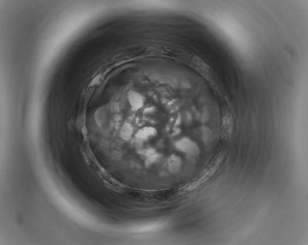 X0000112770765200909031611