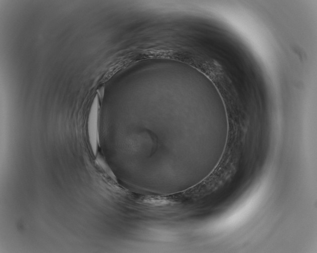 X0000112770767200909031611