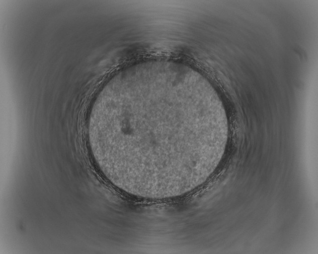 X0000112770769200909031610