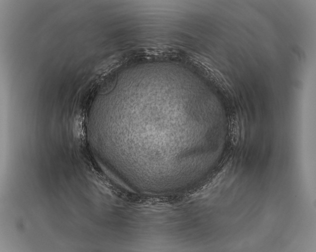 X0000112770770200909031610