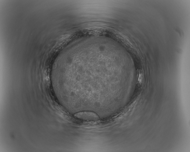 X0000112770771200909031610