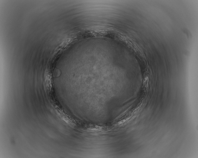 X0000112770772200909031610