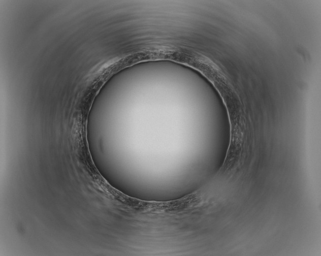 X0000112770773200909031610