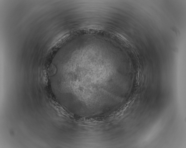 X0000112770774200909031610