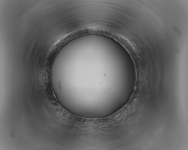 X0000112770776200909031610