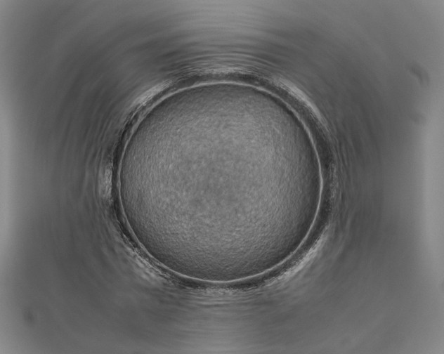 X0000112770777200909031610