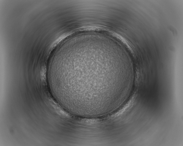 X0000112770778200909031610