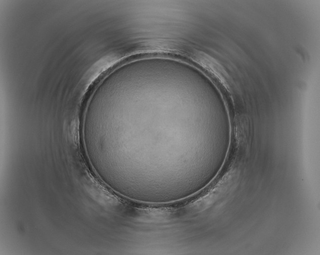 X0000112770781200909031610