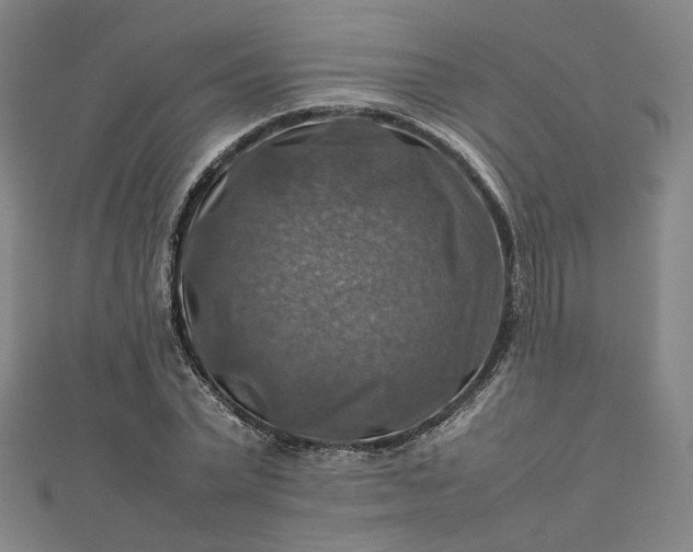 X0000112770783200909031610