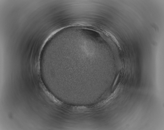 X0000112770784200909031610