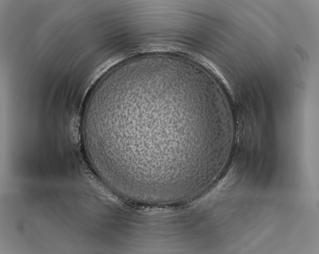 X0000112770786200909031610