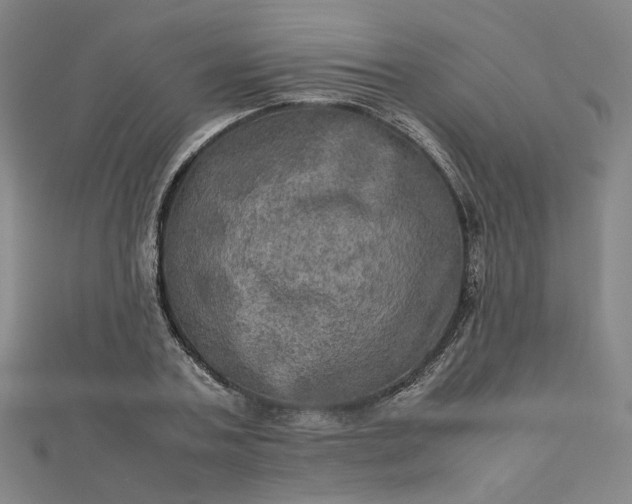 X0000112770787200909031610