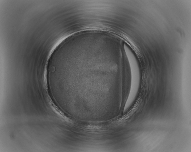 X0000112770788200909031610