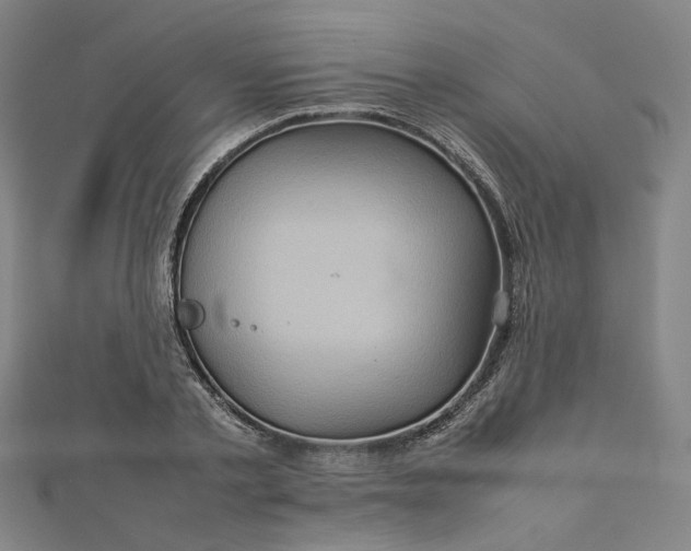 X0000112770789200909031610