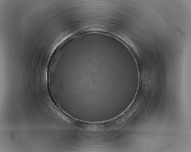 X0000112770790200909031610