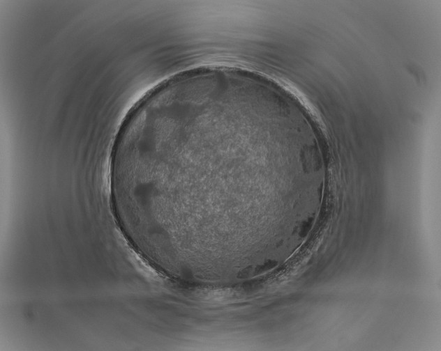 X0000112770791200909031610