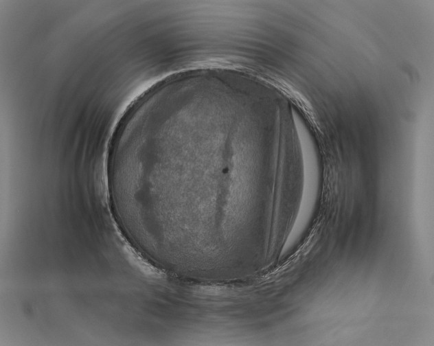 X0000112770792200909031610