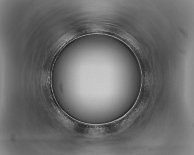 X0000112770793200909031610