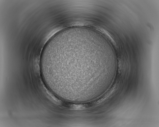 X0000112770794200909031610