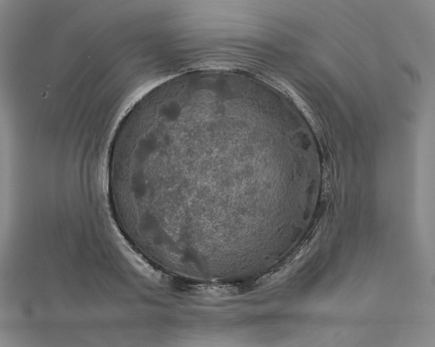 X0000112770795200909031610