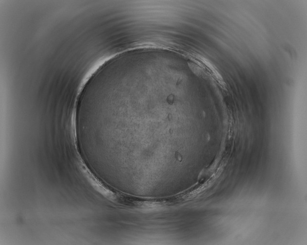 X0000112770796200909031610