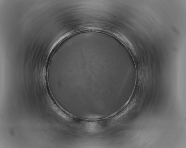 X0000112770798200909031610