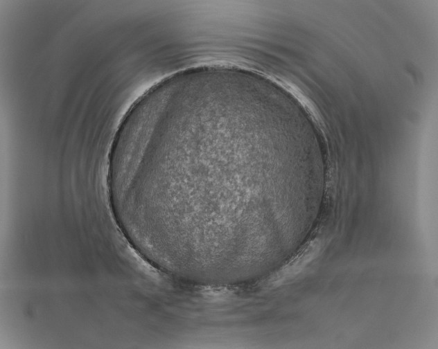 X0000112770799200909031610