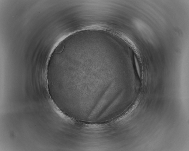 X0000112770800200909031610