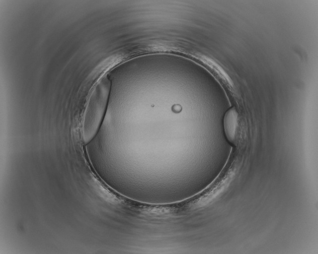 X0000112770801200909031610