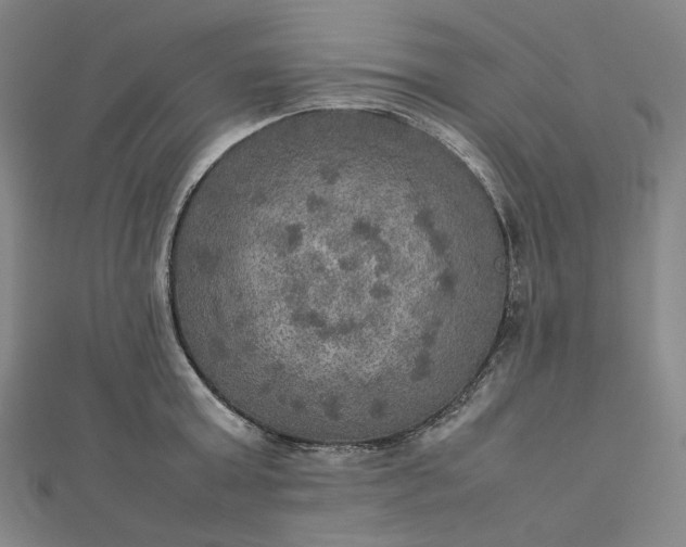 X0000112770803200909031610