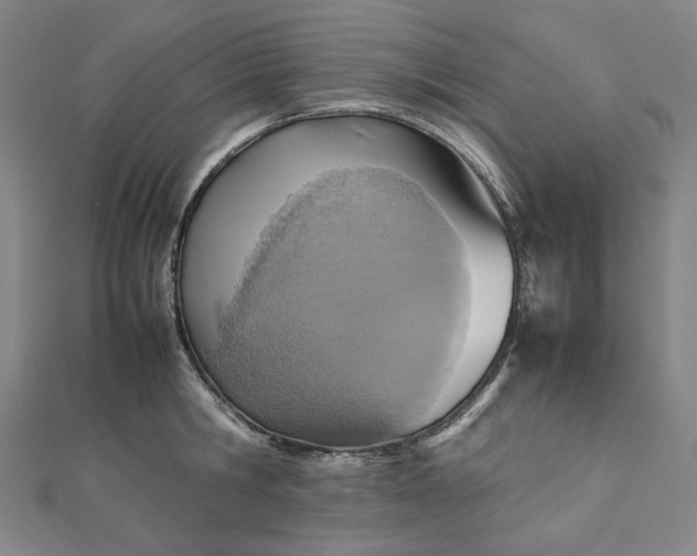 X0000112770806200909031610