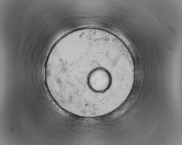 X0000112770807200909031610