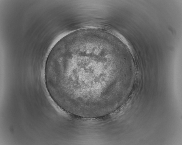 X0000112770811200909031610