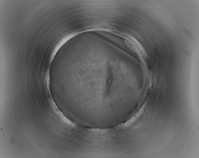 X0000112770812200909031609