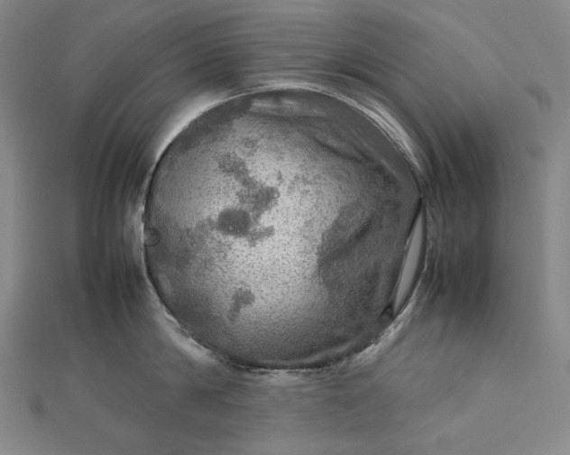 X0000112770814200909031609